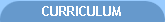 CURRICULUM