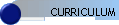CURRICULUM